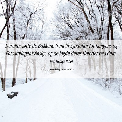 Picture 06 - 2 Krønikebog 29:23 DA1871 - Derefter førte de Bukkene frem til Syndoffer for - Bible Verse Picture