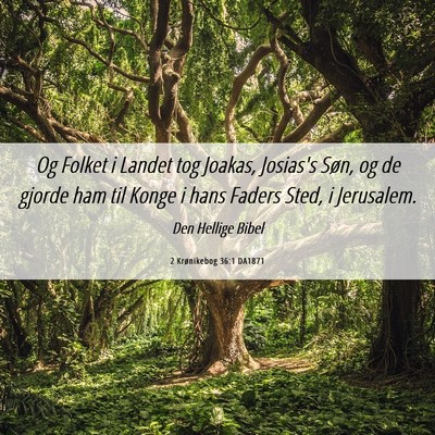 Picture 06 - 2 Krønikebog 36:1 DA1871 - Og Folket i Landet tog Joakas, Josias's Søn, og - Bible Verse Picture