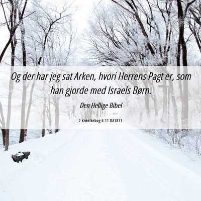 Picture 06 - 2 Krønikebog 6:11 DA1871 - Og der har jeg sat Arken, hvori Herrens Pagt er, - Bible Verse Picture