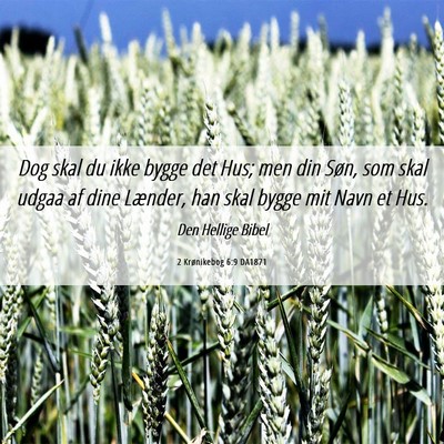 Picture 06 - 2 Krønikebog 6:9 DA1871 - Dog skal du ikke bygge det Hus; men din Søn, som - Bible Verse Picture