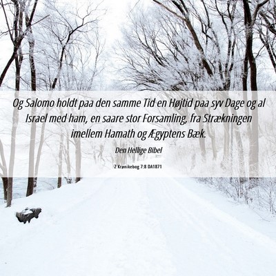 Picture 06 - 2 Krønikebog 7:8 DA1871 - Og Salomo holdt paa den samme Tid en Højtid paa - Bible Verse Picture