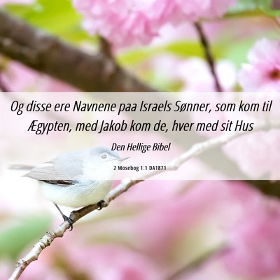 Picture 06 - 2 Mosebog 1:1 DA1871 - Og disse ere Navnene paa Israels Sønner, som kom - Bible Verse Picture