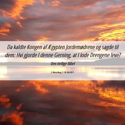 Picture 06 - 2 Mosebog 1:18 DA1871 - Da kaldte Kongen af Ægypten Jordemødrene og - Bible Verse Picture
