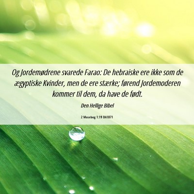 Picture 06 - 2 Mosebog 1:19 DA1871 - Og Jordemødrene svarede Farao: De hebraiske ere - Bible Verse Picture