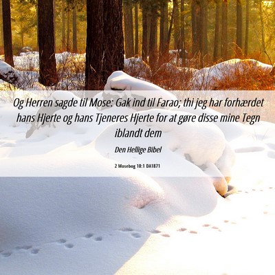 Picture 06 - 2 Mosebog 10:1 DA1871 - Og Herren sagde til Mose: Gak ind til Farao; thi - Bible Verse Picture