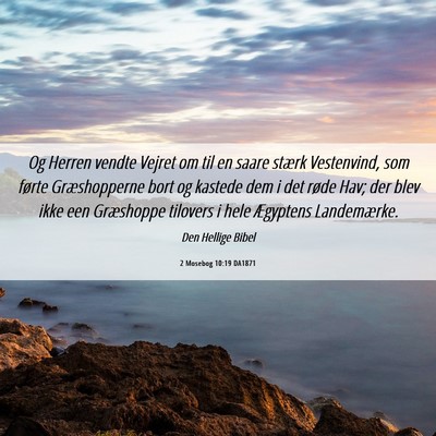 Picture 06 - 2 Mosebog 10:19 DA1871 - Og Herren vendte Vejret om til en saare stærk - Bible Verse Picture