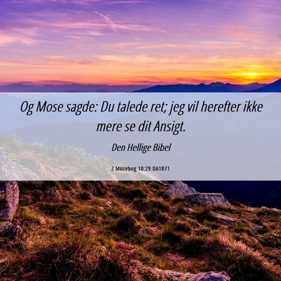 Picture 06 - 2 Mosebog 10:29 DA1871 - Og Mose sagde: Du talede ret; jeg vil herefter - Bible Verse Picture