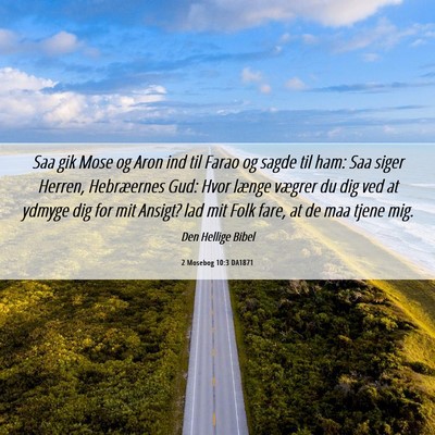 Picture 06 - 2 Mosebog 10:3 DA1871 - Saa gik Mose og Aron ind til Farao og sagde til - Bible Verse Picture