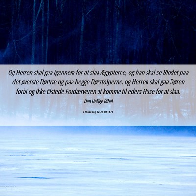 Picture 06 - 2 Mosebog 12:23 DA1871 - Og Herren skal gaa igennem for at slaa - Bible Verse Picture