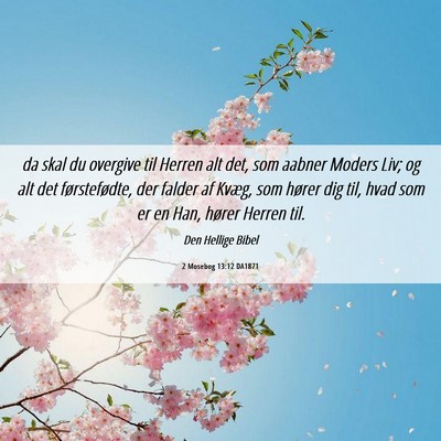 Picture 06 - 2 Mosebog 13:12 DA1871 - da skal du overgive til Herren alt det, som - Bible Verse Picture