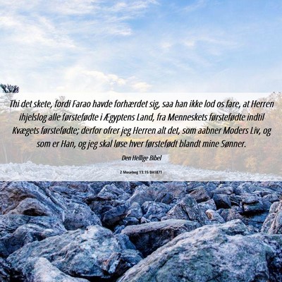 Picture 06 - 2 Mosebog 13:15 DA1871 - Thi det skete, fordi Farao havde forhærdet sig, - Bible Verse Picture