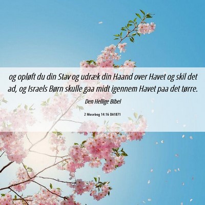 Picture 06 - 2 Mosebog 14:16 DA1871 - og opløft du din Stav og udræk din Haand over - Bible Verse Picture