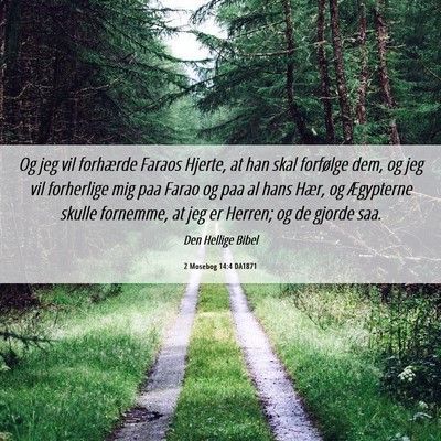 Picture 06 - 2 Mosebog 14:4 DA1871 - Og jeg vil forhærde Faraos Hjerte, at han skal - Bible Verse Picture