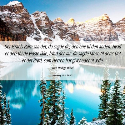 Picture 06 - 2 Mosebog 16:15 DA1871 - Der Israels Børn saa det, da sagde de, den ene - Bible Verse Picture