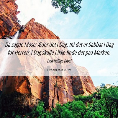 Picture 06 - 2 Mosebog 16:25 DA1871 - Da sagde Mose: Æder det i Dag; thi det er Sabbat - Bible Verse Picture