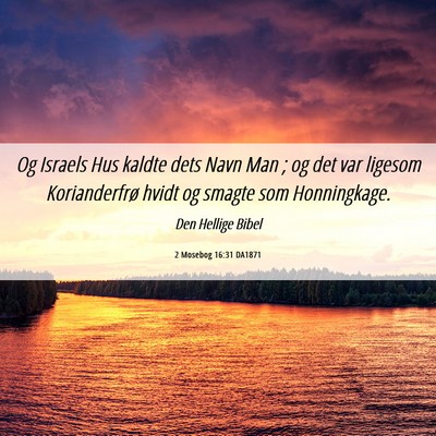 Picture 06 - 2 Mosebog 16:31 DA1871 - Og Israels Hus kaldte dets Navn Man ; og det var - Bible Verse Picture