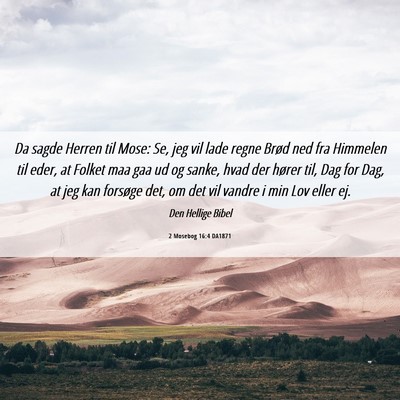 Picture 06 - 2 Mosebog 16:4 DA1871 - Da sagde Herren til Mose: Se, jeg vil lade regne - Bible Verse Picture