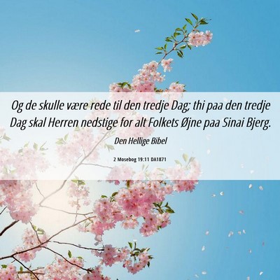 Picture 06 - 2 Mosebog 19:11 DA1871 - Og de skulle være rede til den tredje Dag; thi - Bible Verse Picture