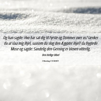 Picture 06 - 2 Mosebog 2:14 DA1871 - Og han sagde: Hvo har sat dig til Fyrste og - Bible Verse Picture