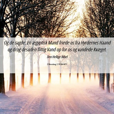 Picture 06 - 2 Mosebog 2:19 DA1871 - Og de sagde: En ægyptisk Mand friede os fra - Bible Verse Picture