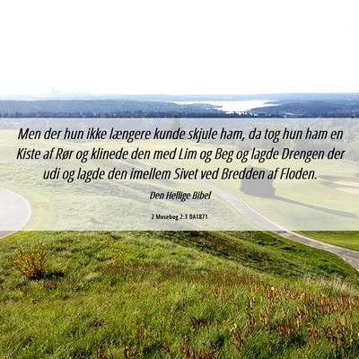 Picture 06 - 2 Mosebog 2:3 DA1871 - Men der hun ikke længere kunde skjule ham, da - Bible Verse Picture