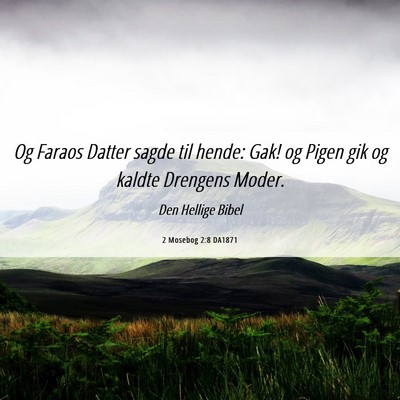 Picture 06 - 2 Mosebog 2:8 DA1871 - Og Faraos Datter sagde til hende: Gak! og Pigen - Bible Verse Picture