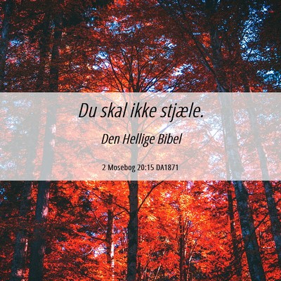 Picture 06 - 2 Mosebog 20:15 DA1871 - Du skal ikke - Bible Verse Picture