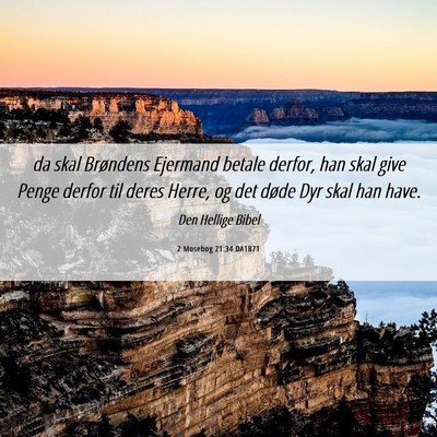 Picture 06 - 2 Mosebog 21:34 DA1871 - da skal Brøndens Ejermand betale derfor, han - Bible Verse Picture