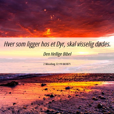 Picture 06 - 2 Mosebog 22:19 DA1871 - Hver som ligger hos et Dyr, skal visselig - Bible Verse Picture