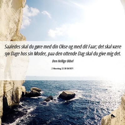 Picture 06 - 2 Mosebog 22:30 DA1871 - Saaledes skal du gøre med din Okse og med dit - Bible Verse Picture