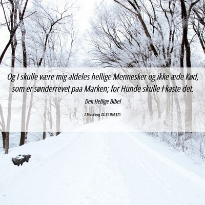 Picture 06 - 2 Mosebog 22:31 DA1871 - Og I skulle være mig aldeles hellige Mennesker - Bible Verse Picture