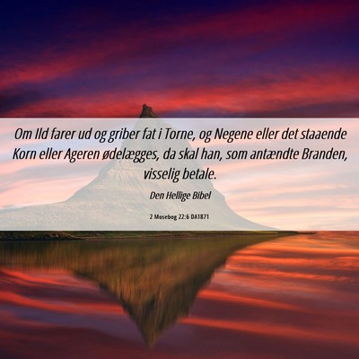 Picture 06 - 2 Mosebog 22:6 DA1871 - Om Ild farer ud og griber fat i Torne, og Negene - Bible Verse Picture