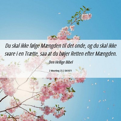 Picture 06 - 2 Mosebog 23:2 DA1871 - Du skal ikke følge Mængden til det onde, og du - Bible Verse Picture