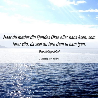 Picture 06 - 2 Mosebog 23:4 DA1871 - Naar du møder din Fjendes Okse eller hans Asen, - Bible Verse Picture
