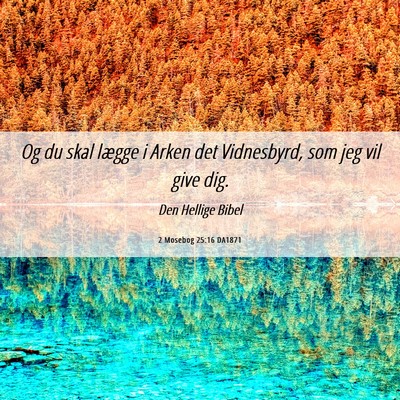 Picture 06 - 2 Mosebog 25:16 DA1871 - Og du skal lægge i Arken det Vidnesbyrd, som jeg - Bible Verse Picture