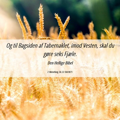 Picture 06 - 2 Mosebog 26:22 DA1871 - Og til Bagsiden af Tabernaklet, imod Vesten, skal - Bible Verse Picture
