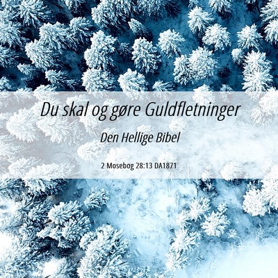 Picture 06 - 2 Mosebog 28:13 DA1871 - Du skal og gøre - Bible Verse Picture