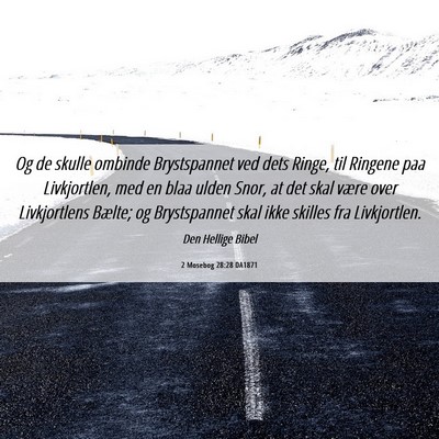 Picture 06 - 2 Mosebog 28:28 DA1871 - Og de skulle ombinde Brystspannet ved dets Ringe, - Bible Verse Picture