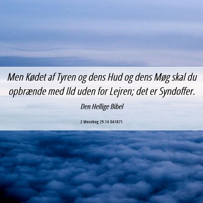 Picture 06 - 2 Mosebog 29:14 DA1871 - Men Kødet af Tyren og dens Hud og dens Møg skal - Bible Verse Picture