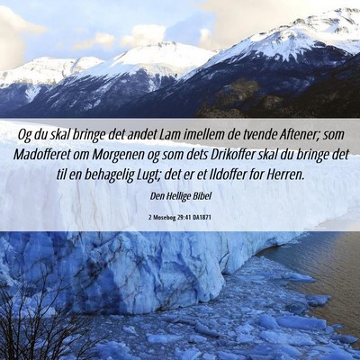 Picture 06 - 2 Mosebog 29:41 DA1871 - Og du skal bringe det andet Lam imellem de tvende - Bible Verse Picture