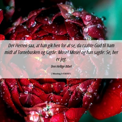 Picture 06 - 2 Mosebog 3:4 DA1871 - Der Herren saa, at han gik hen for at se, da - Bible Verse Picture