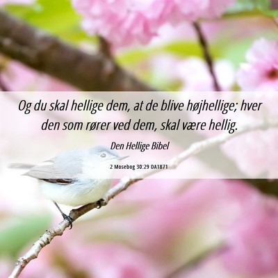 Picture 06 - 2 Mosebog 30:29 DA1871 - Og du skal hellige dem, at de blive højhellige; - Bible Verse Picture