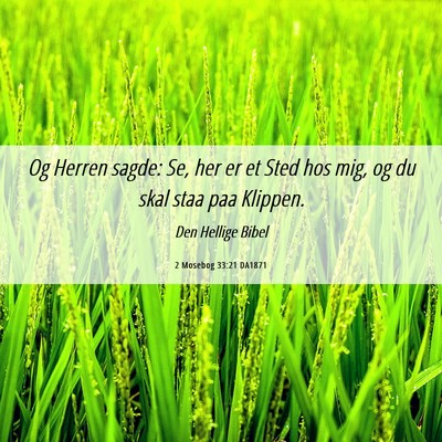 Picture 06 - 2 Mosebog 33:21 DA1871 - Og Herren sagde: Se, her er et Sted hos mig, og - Bible Verse Picture