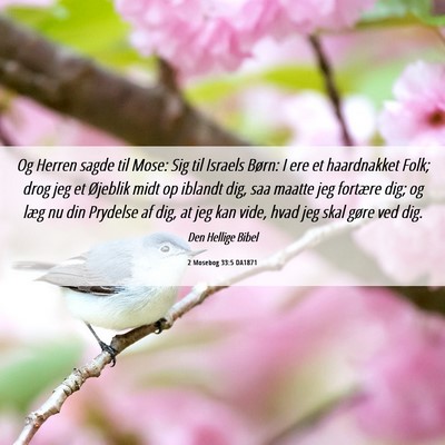 Picture 06 - 2 Mosebog 33:5 DA1871 - Og Herren sagde til Mose: Sig til Israels Børn: - Bible Verse Picture