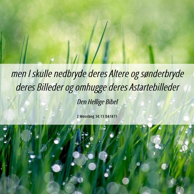 Picture 06 - 2 Mosebog 34:13 DA1871 - men I skulle nedbryde deres Altere og - Bible Verse Picture