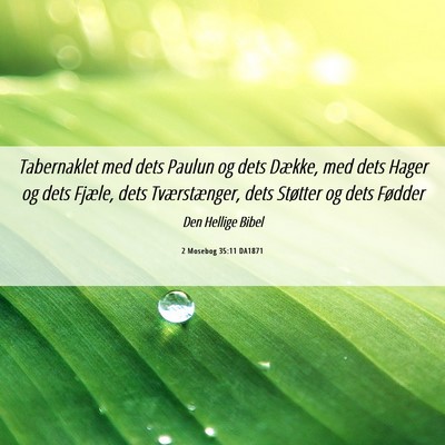 Picture 06 - 2 Mosebog 35:11 DA1871 - Tabernaklet med dets Paulun og dets Dække, med - Bible Verse Picture
