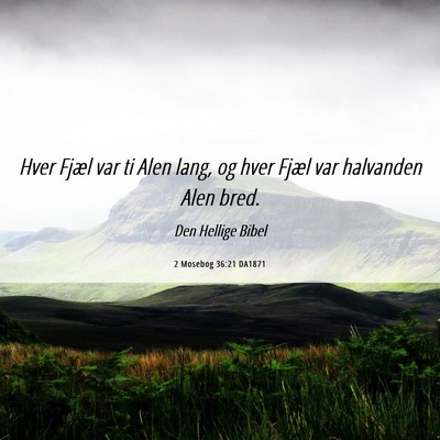Picture 06 - 2 Mosebog 36:21 DA1871 - Hver Fjæl var ti Alen lang, og hver Fjæl var - Bible Verse Picture