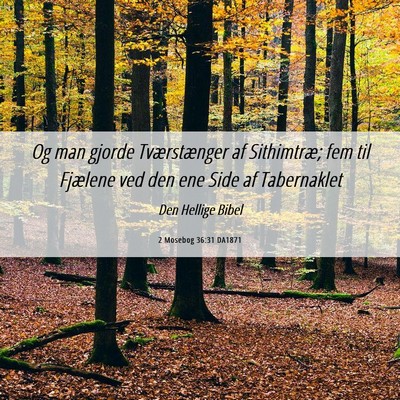 Picture 06 - 2 Mosebog 36:31 DA1871 - Og man gjorde Tværstænger af Sithimtræ; fem - Bible Verse Picture