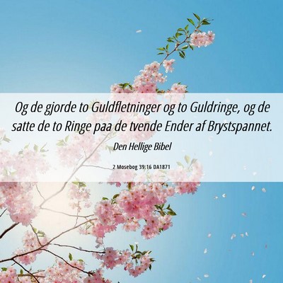Picture 06 - 2 Mosebog 39:16 DA1871 - Og de gjorde to Guldfletninger og to Guldringe, - Bible Verse Picture