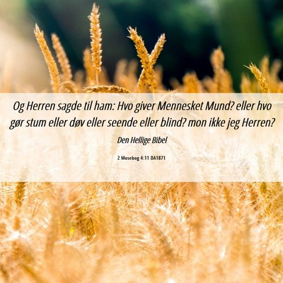 Picture 06 - 2 Mosebog 4:11 DA1871 - Og Herren sagde til ham: Hvo giver Mennesket - Bible Verse Picture